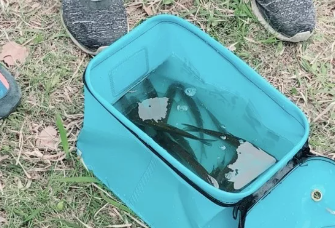 搜狗截图20201212133547 搜狗截图20201212133547